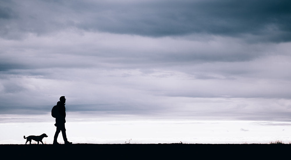 Can I get vitamin D on a cloudy day? Ra Optics