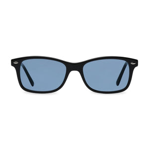 Visual Eyes Ram Dass BlueSync Blue Blockers Quantum Light Computer The Light Diet