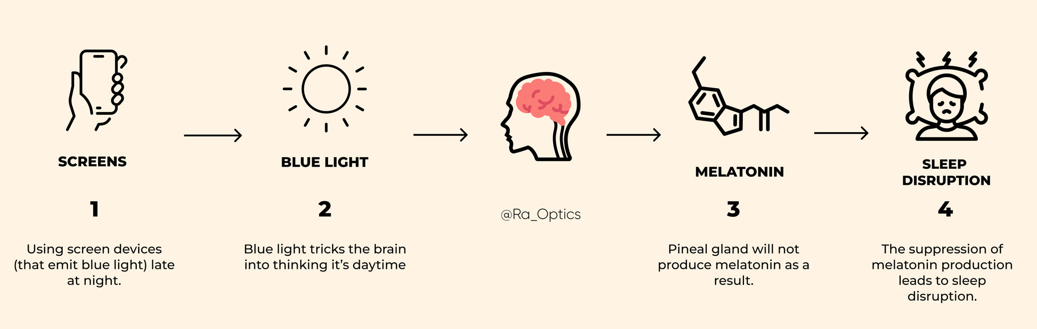 The Evolution of Light and the Importance of Circadian Rhythms
