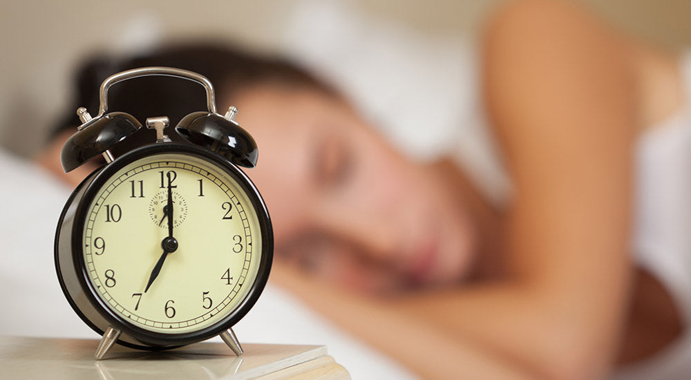 What is the Circadian Rhythm?