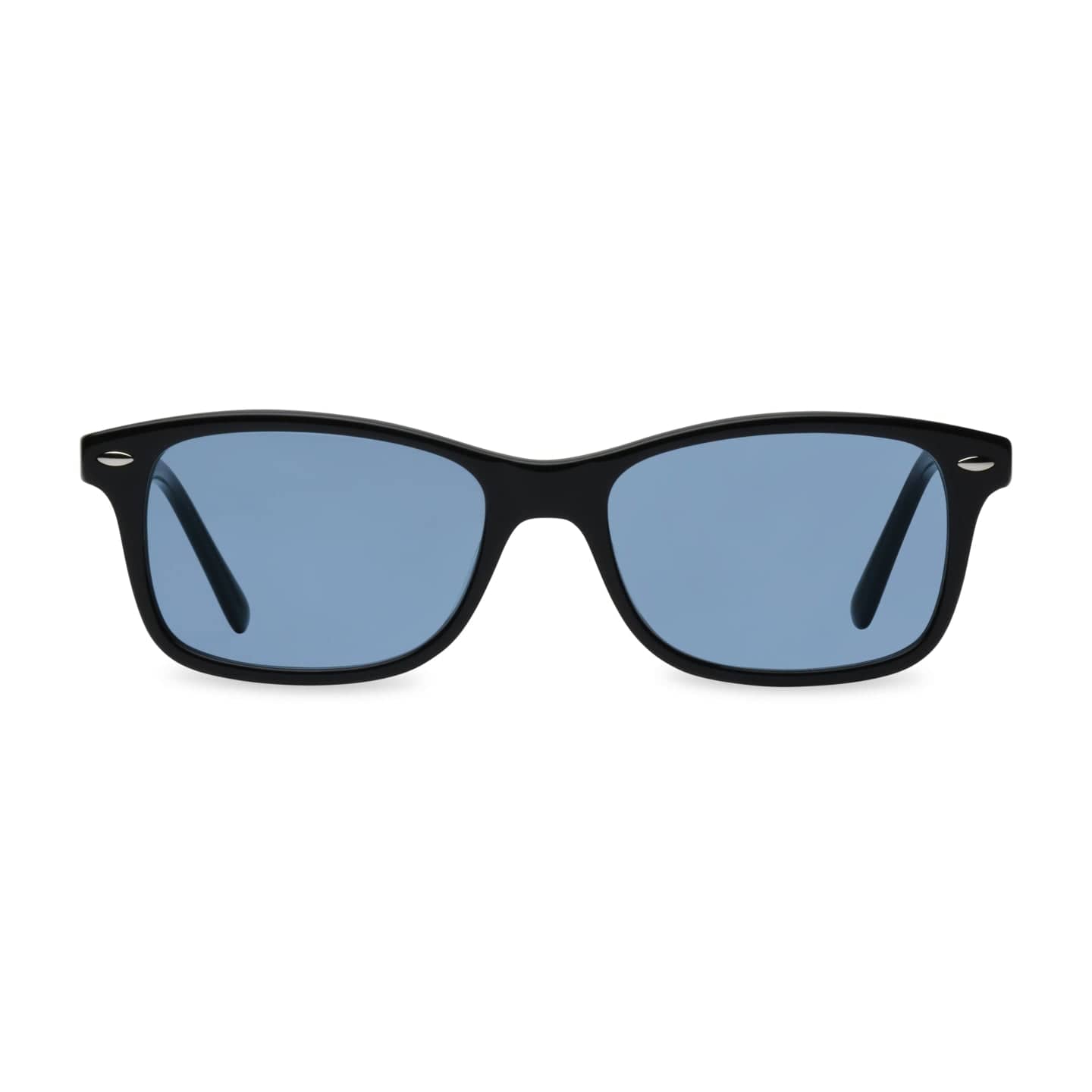 Visual Eyes Ram Dass BlueSync Blue Blockers Quantum Light Computer The Light Diet