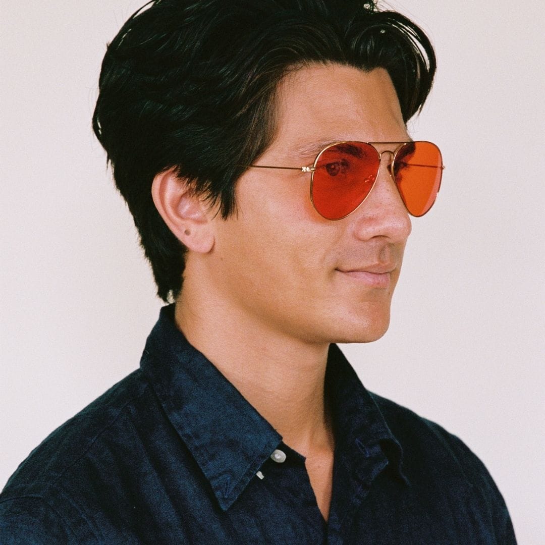 Visual Eyes Yogananda Sunset Blue Blockers Quantum Light Computer The Light Diet