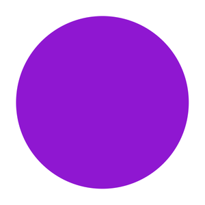 Ra Optics Z - Purple Dot Test Product Blue Blockers Quantum Light Computer The Light Diet